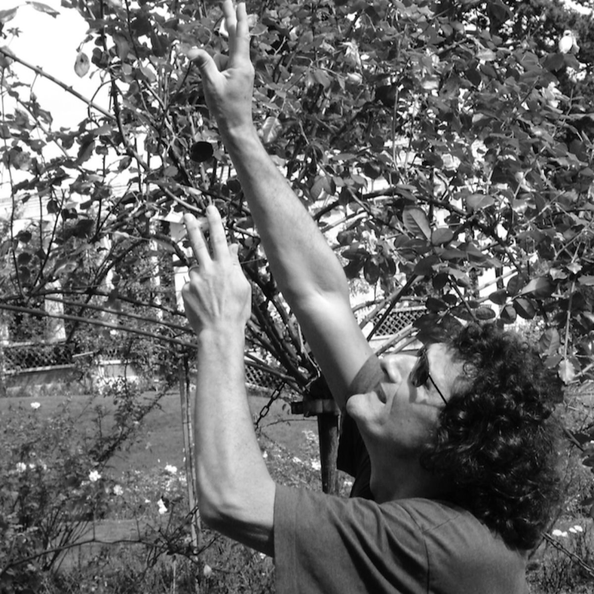 VALERIO CERVI - Guitar Solo